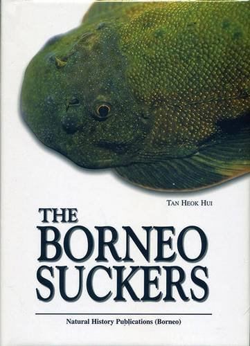 Stock image for The Borneo Suckers: Revision of the Torrent Loaches of Borneo (Balitoridae: Gastromyzon, Neogastromyzon) for sale by Masalai Press