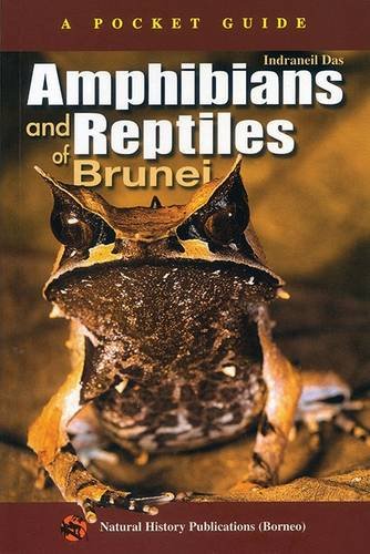 9789838121194: Amphibians and Reptiles of Brunei: A Pocket Guide