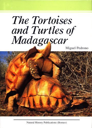 9789838121248: The Tortoises and Turtles of Madagascar