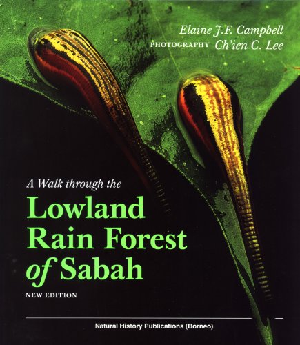 9789838121347: A Walk Through the Lowland Rain Forest of Sabah