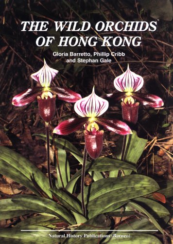 9789838121361: The Wild Orchids of Hong Kong