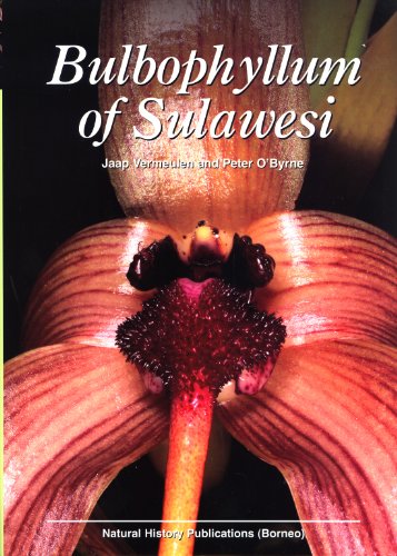 Stock image for Bulbophyllum of Sulawesi for sale by Masalai Press