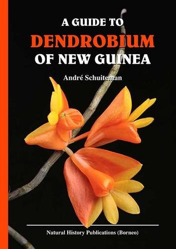 9789838121408: A Guide to Dendrobium of New Guinea