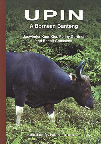 Beispielbild fr Upin: A Bornean Banteng zum Verkauf von Books From California