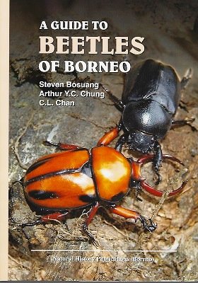 Imagen de archivo de A Guide to Beetles of Borneo a la venta por Masalai Press