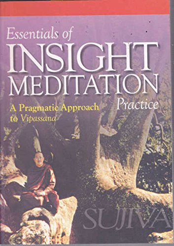 Stock image for Essentials of Insight Meditation Practice: A Pragmatic Approach to Vipassana for sale by BooksRun