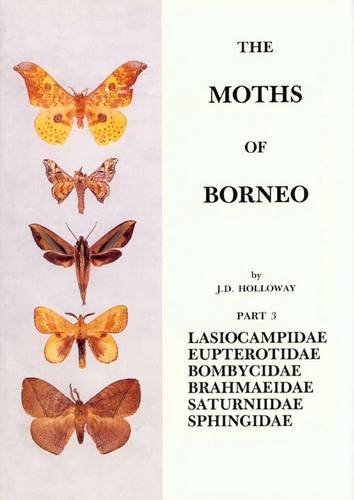 Beispielbild fr Families Lacio- Campidae, Eupteridae, Bombycidae, Brahmaeidae, Saturniidae, Sphingidae (Superfamily Bombycoidea) (Pt. 3) (The Moths of Borneo) zum Verkauf von Gerald Wollermann