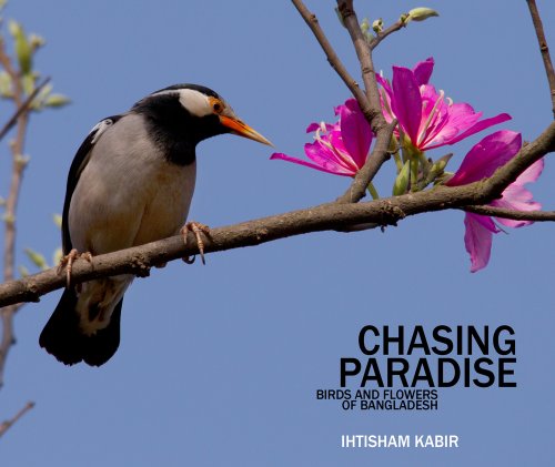 9789849073802: Chasing Paradise: Birds and Flowers of Bangladesh
