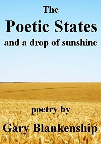 9789865804114: The Poetic States and a drop of sunshine