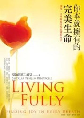 Beispielbild fr Living Fully: Finding Joy in Every Breath (Traditional Chinese Edition) zum Verkauf von Red's Corner LLC