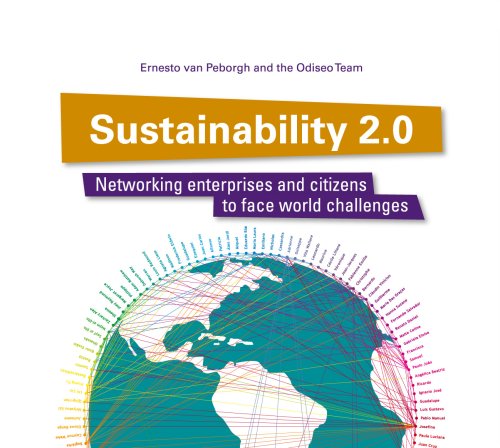 Stock image for Sustainability 2.0 for sale by Iridium_Books