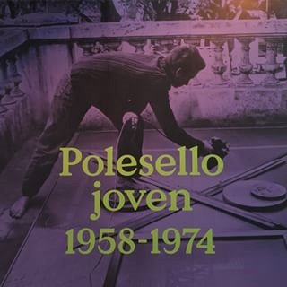 Imagen de archivo de Polesello Joven [1958 - 1974] (cartone) - Casanegra Mercede a la venta por Juanpebooks