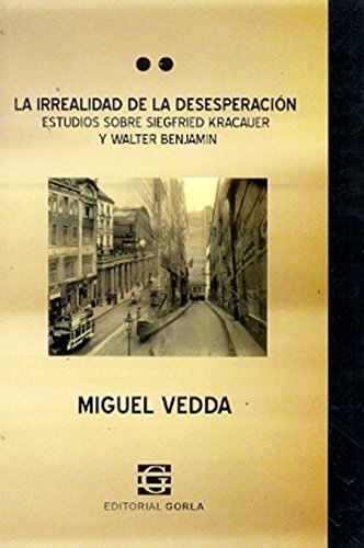 Imagen de archivo de Irrealidad De La Desesperacion Estudios Sobre Siegfried Kra a la venta por Juanpebooks