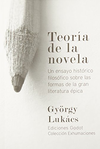 9789871489176: Teora de la novela