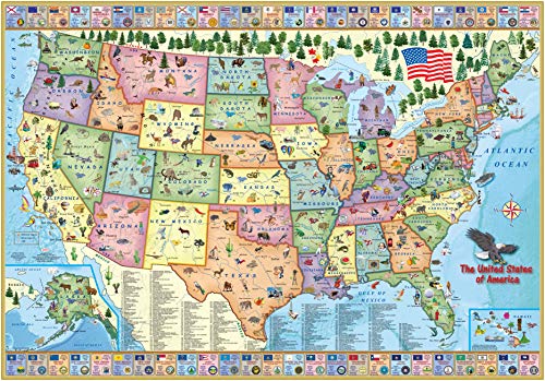  USA Map for Kids - Laminated - United States Wall