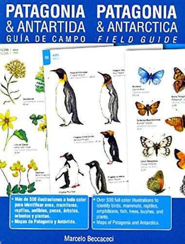 Beispielbild fr Guia de campo Patagonia Antrtica : field guide Patagonia and Antrtica zum Verkauf von Iridium_Books