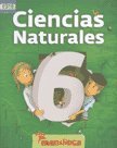 Imagen de archivo de Ciencias Naturales 6 Mandioca Escenarios - Escenarios (pape a la venta por Juanpebooks