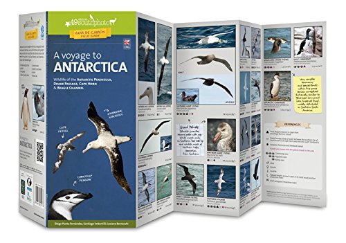 Imagen de archivo de A Voyage to Antarctica. Wildlife of the Antarctic Peninsula, Drake Passage, Cape Horn & Beagle Channel : Pocket Guide a la venta por GF Books, Inc.