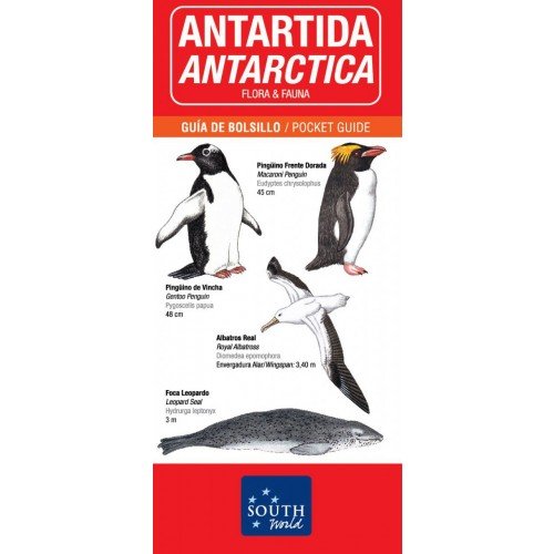 Stock image for Antartica:Flora & Fauna-Guia De Bolsillo Eng/Esp & Portugues for sale by WorldofBooks