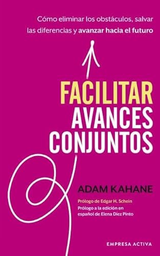 Stock image for FACILITAR AVANCES CONJUNTOS (ARG) for sale by SoferBooks