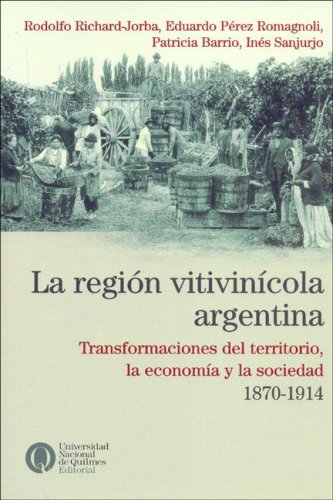 Imagen de archivo de REGION VITIVINICOLA ARGENTINA. Transformaciones del territorio, economia y sociedad a la venta por Libros nicos