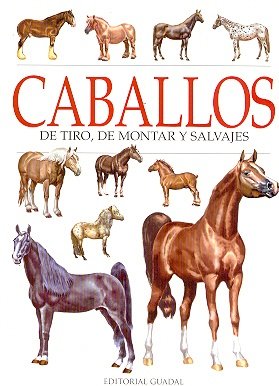 Beispielbild fr Caballos de Tiro de Montar y Salvajes zum Verkauf von medimops