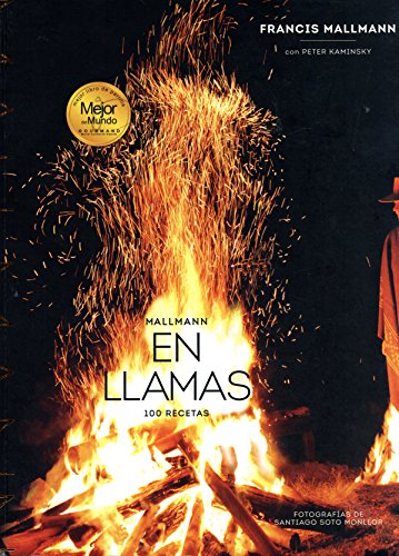 Stock image for MALLMANN EN LLAMAS - TAPA BLANDA for sale by SoferBooks