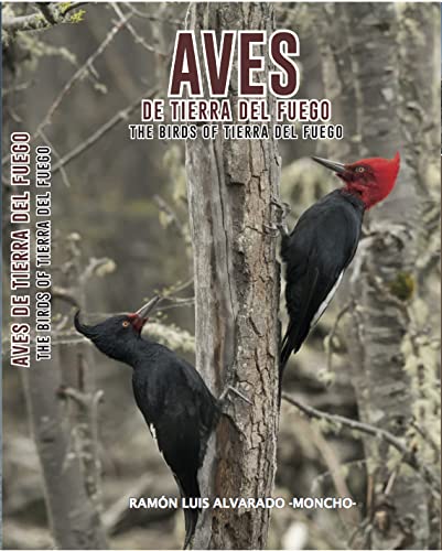 Stock image for aves de tierra del fuego alvarado ramon luis moncho for sale by DMBeeBookstore