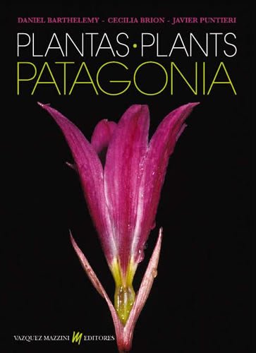 9789879132173: Patagonia Plants / Plantas (English/Spanish)