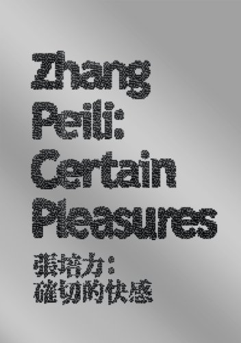 Imagen de archivo de Zhang Peili: Certain Pleasures a la venta por Midtown Scholar Bookstore