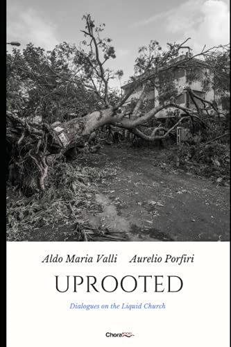 Stock image for Uprooted: Dialogues on the Liquid Church for sale by BookMarx Bookstore