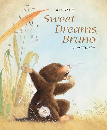 Beispielbild fr Sweet Dreams, Bruno zum Verkauf von Bookmans