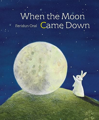 Beispielbild fr When the Moon Came Down zum Verkauf von Better World Books