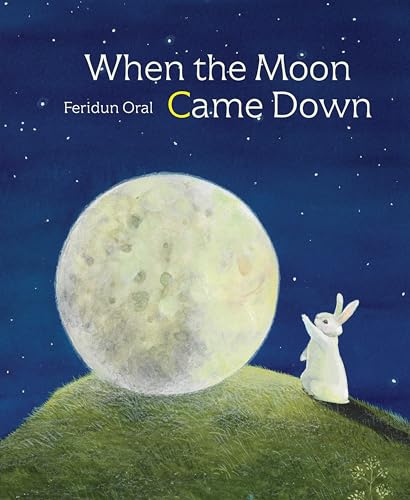 Stock image for When the Moon Came Down for sale by Better World Books