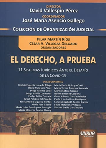 Stock image for DERECHO A PRUEBA 11 SISTEMAS JURIDICOS ANTE EL DESAFIO COVI for sale by AG Library