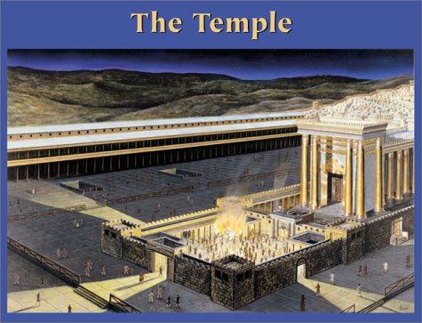 Chart-Temple Wall (Unlaminated) (9789901980024) by Rose Publishing