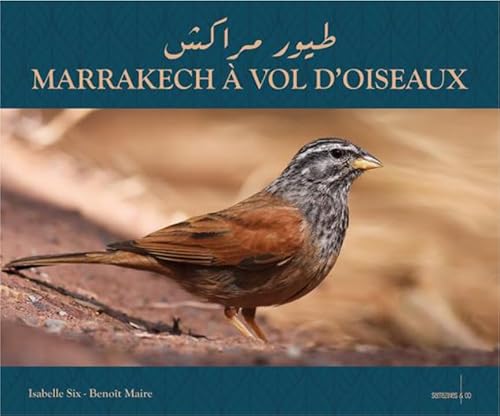 Beispielbild fr Marrakech  vol d'oiseaux zum Verkauf von Gallix