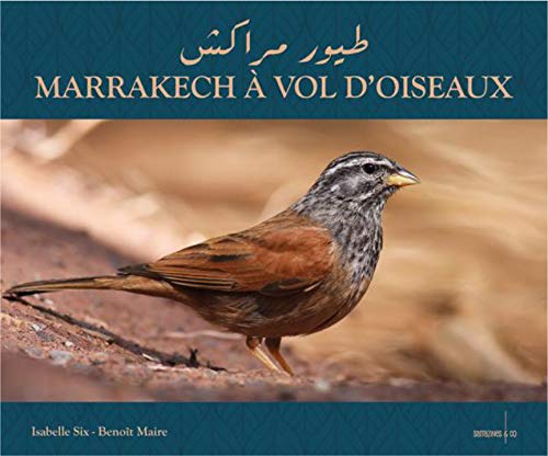 Imagen de archivo de Marrakech  vol d'oiseaux a la venta por Gallix
