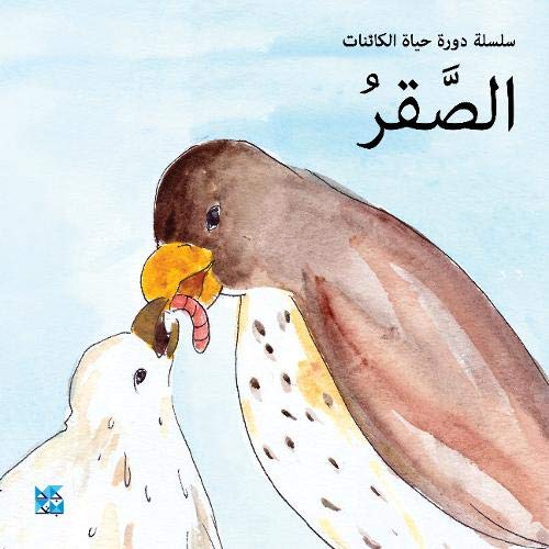 Beispielbild fr Falcon Arabic Edition zum Verkauf von PBShop.store US