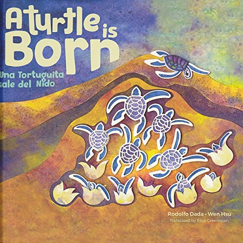 Stock image for Una tortuguita sale del nido/ A turtle is born for sale by Better World Books