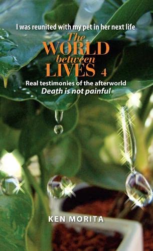 Stock image for THE WORLD BETWEEN LIVES 4 REAL TESTIMONIES OF AFTERWORLD . for sale by Books Puddle