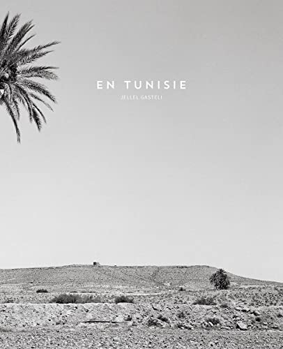 Beispielbild fr En Tunisie zum Verkauf von RECYCLIVRE