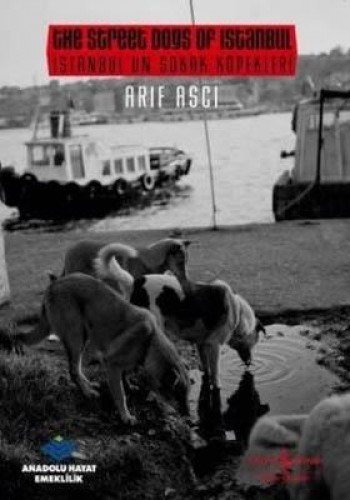 Beispielbild fr The street dogs of Istanbul.= Istanbul'un sokak kpekleri. Translator: Amy Spangler; Edited by Ali Berktay. zum Verkauf von Khalkedon Rare Books, IOBA