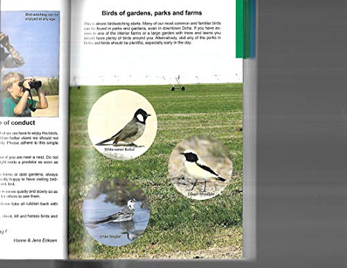Common Birds of Qatar (9789948157472) by Eriksen; Hanne; Jens; Gillespie; Frances