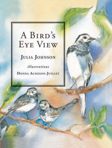 Beispielbild fr A Bird's Eye View zum Verkauf von WorldofBooks