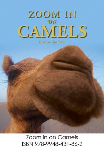 Beispielbild fr Zoom in on Camels zum Verkauf von WorldofBooks