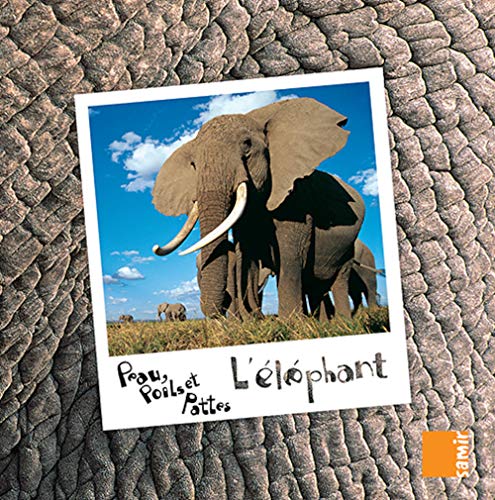 Beispielbild fr Peau, poils et pattes - L'lphant zum Verkauf von Ammareal