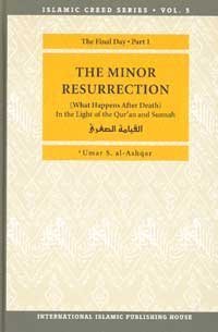Imagen de archivo de The Minor Resurrection a la venta por Your Online Bookstore