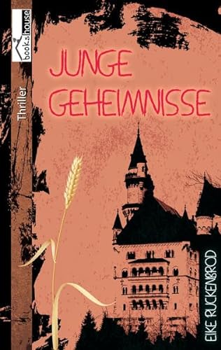Imagen de archivo de Junge Geheimnisse a la venta por Buchmarie