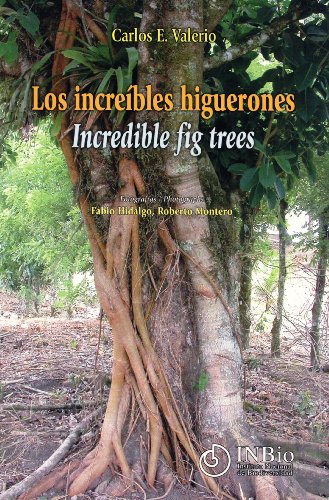 Imagen de archivo de Los Increbles Higuerones / Incredible Fig Trees a la venta por Masalai Press